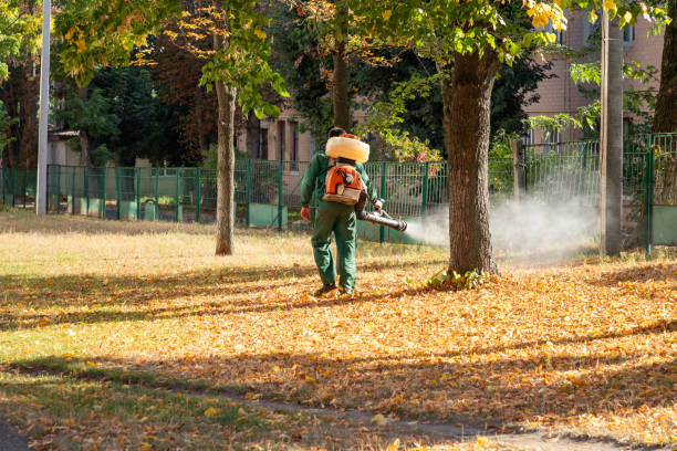 Best Bed Bug Extermination  in Aztec, NM