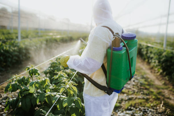 Best Residential Pest Control  in Aztec, NM